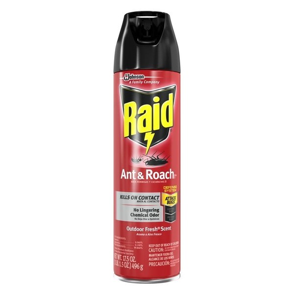 Raid Aerosol Insect Killer 17.5 oz 21613